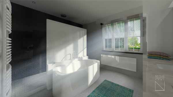 Séjour et salle de bain D