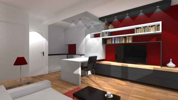 Réaménagement d’un studio au cœur de paris